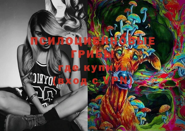 ECSTASY Магас