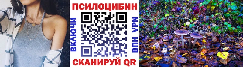 Галлюциногенные грибы Psilocybe  купить  цена  Орск 