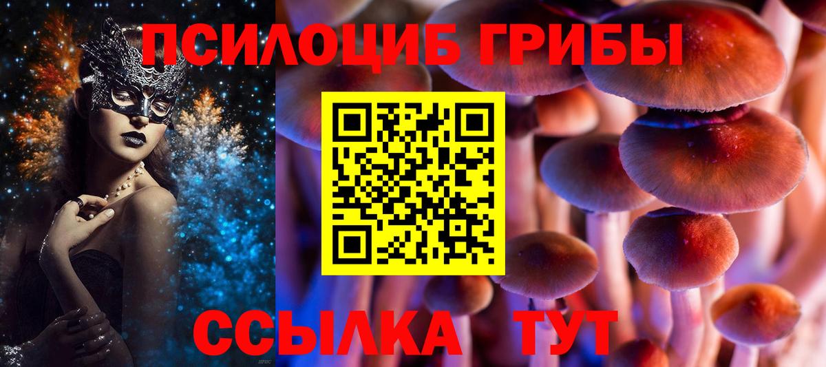 Псилоцибиновые грибы прущие грибы Орск